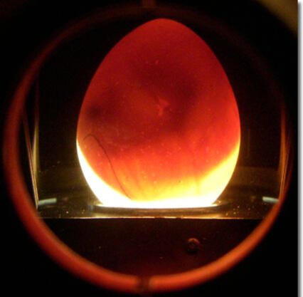 See inside the egg